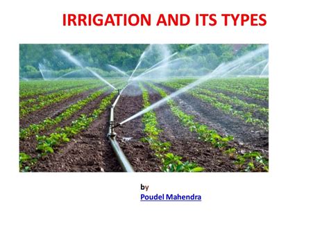 choosing an irrigation methods