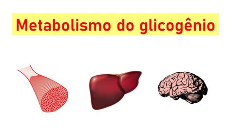 Metabolismo Do Glicogênio Glicogênese Glicogenólise E Regulação Youtube