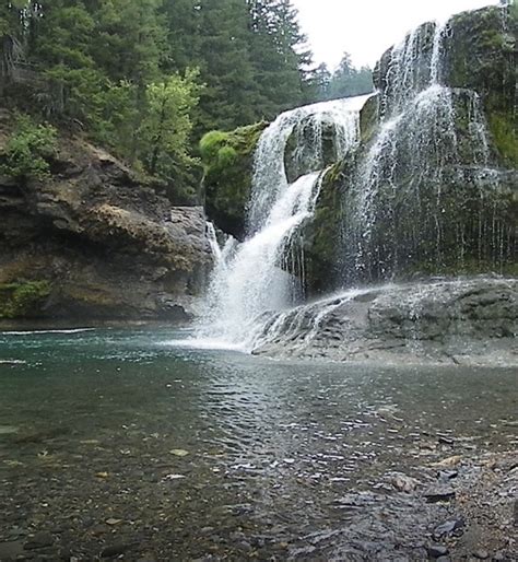 Our Activities - Lewis River RV Park And Country Store