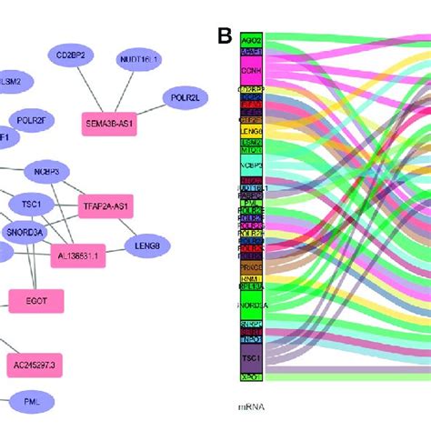 Relationship Between Lncrnas And Mrnas Related To N Methylguanosine