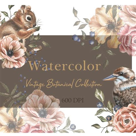 vintage botanical collection masterbundles