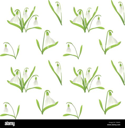 Snowdrop Seamless Pattern Cute Cartoon Vector Illustration On White