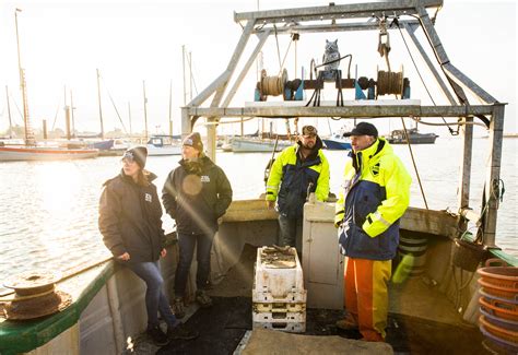 Pearls of wisdom for native oyster conservation – Native Oyster Network