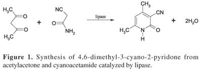 Scielo Brasil A Kinetic Study Of Candida Rugosa Lipase Catalyzed