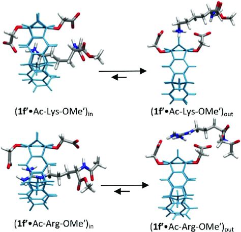 Host Guest Complex Structures Of Och 2 Co 2 À Substituted Tweezers 1f 0