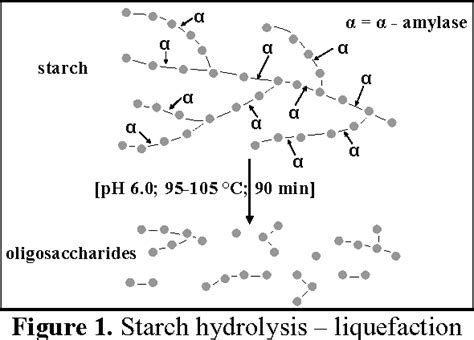 Starch Amylase Reaction Equation