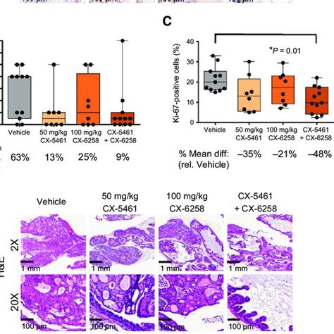 Cx Co Operates With Pan Pim Kinases Inhibitor Cx In