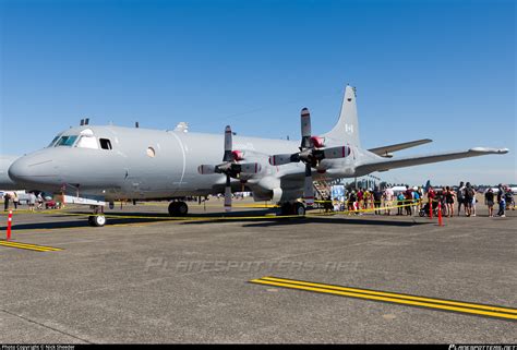 140101 Canada Royal Air Force RCAF Lockheed CP 140 Aurora Photo By