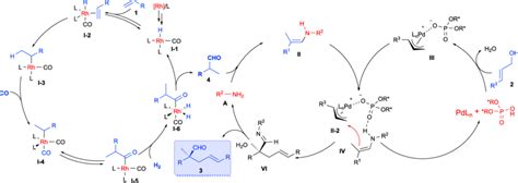 Proposed Mechanism for the Cascade Hydroformylation and Asymmetric ...