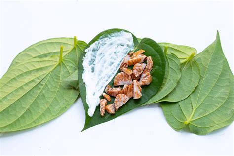 Premium Photo Chewing Betel Nut Betel Nut With Cal Lime Powder On