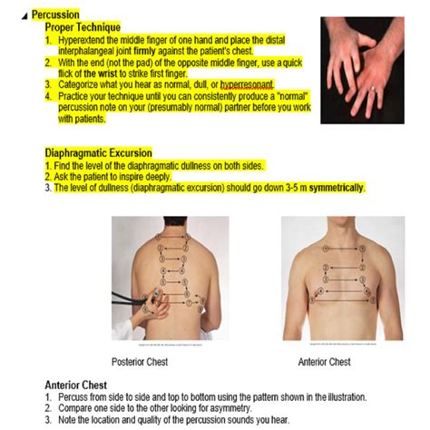 Nurse Physical Assessment Study Guide 35 Pages Printable Bonus Etsy