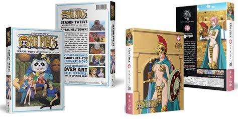 One Piece Dvd Box Sale Prices Oceanproperty Co Th