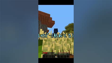 Rtaガチ勢がmobに変身してかくれんぼしてみた！ Minecraft マイクラ エンドラrta エンドラrta エンドラrta軍団