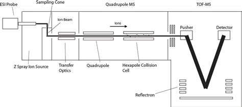 5 Schematic Diagram Of The Micromass QToF Ultima Mass Spectrometer