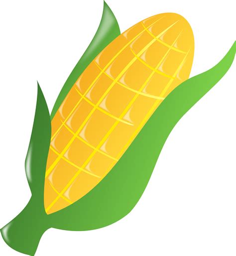 Images Of Cartoon Clipart Corn Field