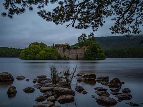 Castlewellan Lake Images - Free Download on Freepik