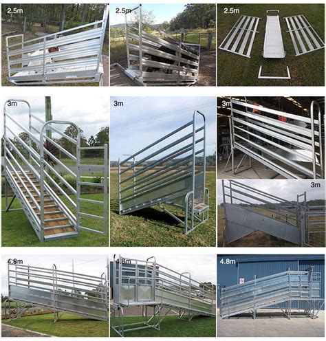 Galvanized Cattle Crush And Ramp Db Fencing