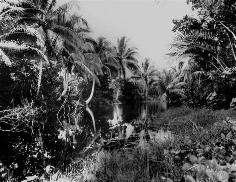 battle  guadalcanal guadalcanal solomon islands basecamp