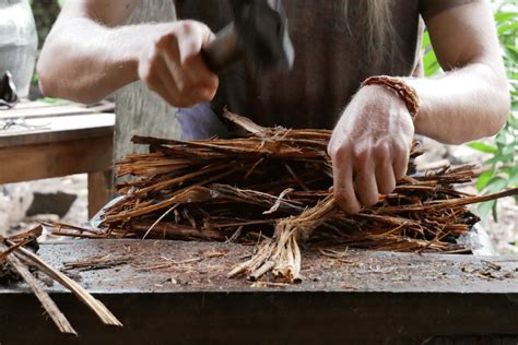 Preparation of Ayahuasca Brew - The Plant Medicine Path