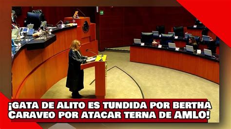 Vean Gata De Alito Y Del Sr X Es Tundida Por Bertha Caraveo Por