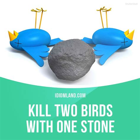 Idiom Of The Day Kill Two Birds With One Stone Meaning To Complete