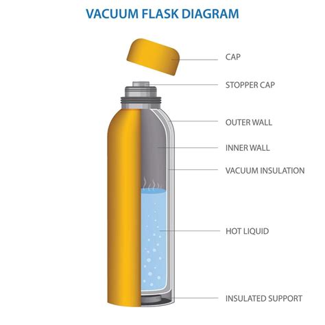 vacuum flask or Thermo flask fully diagram vector illustration 21669363 ...