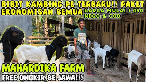 1 450 JUTA FREE ONGKIR SE JAWA PAKET EKONOMISAN SEMUA Kambing PE