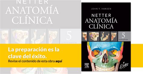 Libro Netter Atlas De Anatomía Humana Abordaje Por Sistemas 8a Edición En Campus