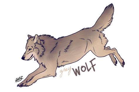 Grey Wolf Colored By Sachiko Hebi On Deviantart