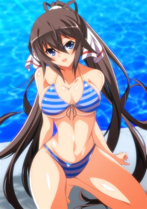 Fondos De Pantalla Shinonono Houki Infinite Stratos Chicas Anime Hot