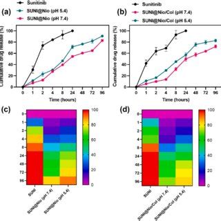 Comparison Of The In Vitro Drug Release Profiles Of A Free Sunitinib