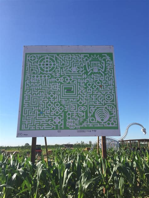 2015 Corn Maze at Cool Patch Pumpkins