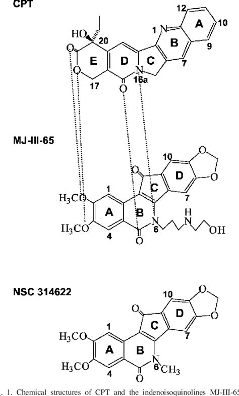 Figure 1 From Differential Induction Of Topoisomerase I DNA Cleavage