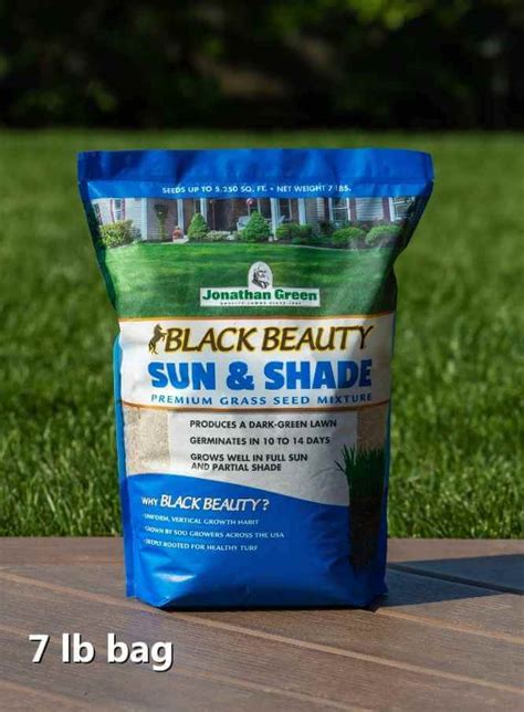 Black Beauty® Sun And Shade Grass Seed Jonathan Green