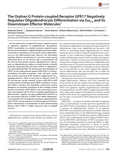 PDF The Orphan G Protein Coupled Receptor GPR17 Negatively Regulates