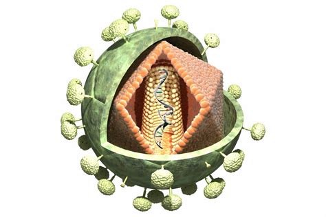 Hiv多重耐药取得突破！每年两次、长效hiv药物sunlenca在欧盟获批 知乎