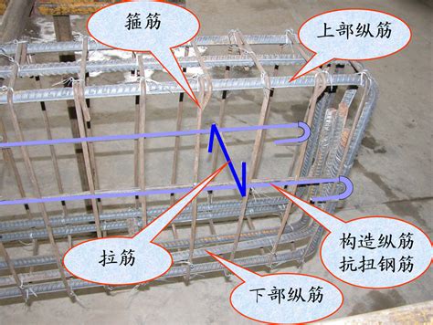 根据在结构中的作用，钢筋有哪些分类？ 工程基础腿腿教学网