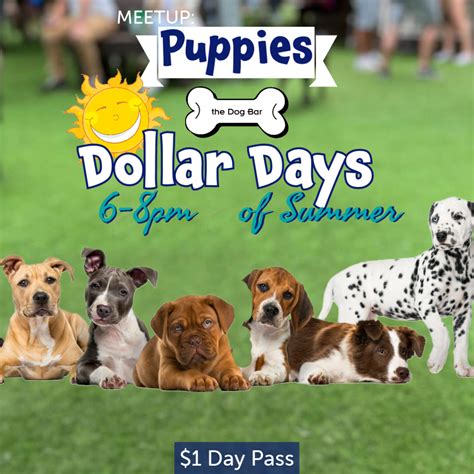 Puppies Days The Dog Bar