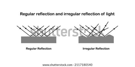 Vector Illustration Regular Reflection Irregular Reflection Stock