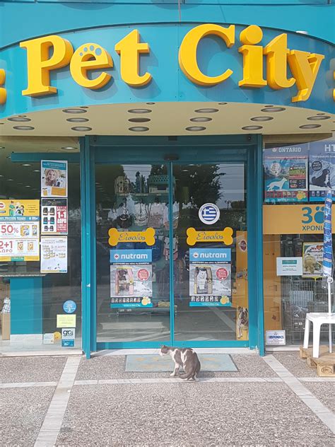 Real Pet Shop