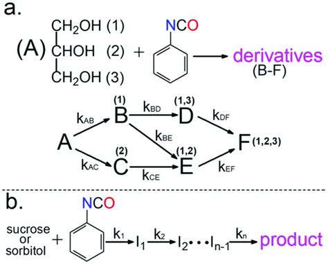 Kinetic Scheme For The Reaction Of Glycerol A Sucrose And Sorbitol