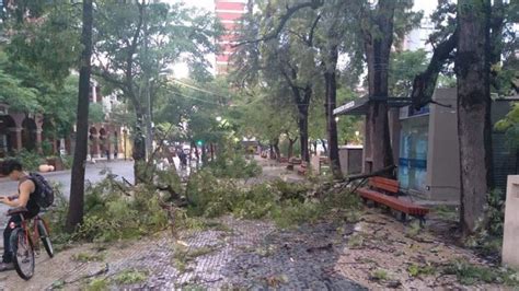 Fuerte temporal de lluvia y viento causó múltiples daños en Santiago