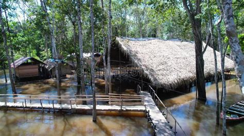 Pueblo Indígena De Amazon Forest Manaus Brasil Almacen De Video