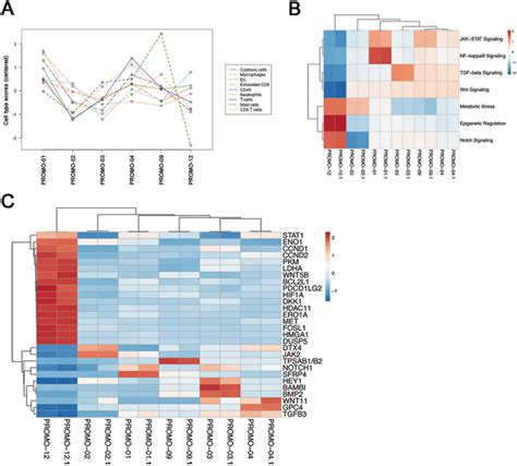 Gene Expression Analysis Of Tumor Samples Using The NanoString