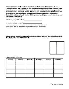 Sex Linked Inheritance Laboratory Simulation By But First We Science