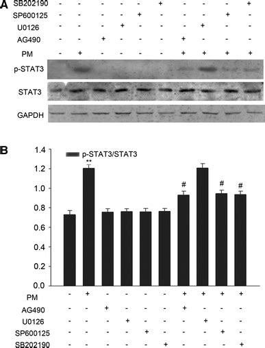 Effects Of Ag Sb Sp And U On Pm Induced Stat