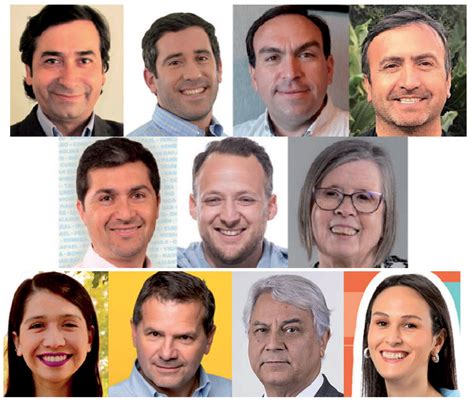 Ellos Son Los Diputados Electos En El Maule Diario La Prensa