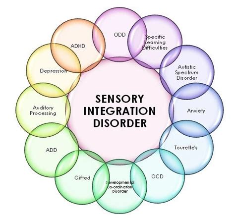 Sensory Integration