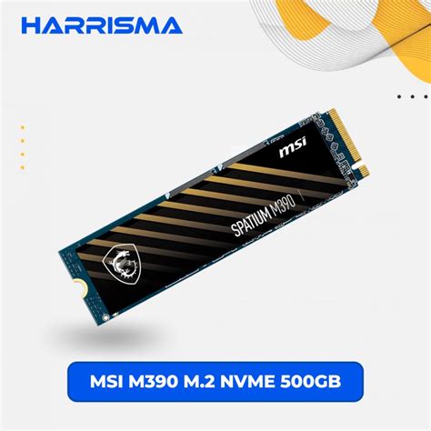 MSI SSD Internal M390 M 2 NVMe 500GB Harrisma