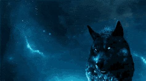 Wolf  Ice